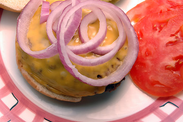 Image showing cheeseburger close