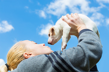 Image showing Mixed-breed cute little puppy petting.