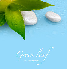 Image showing green leaf with stones