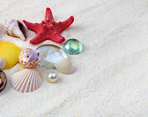 Image showing sea shells on sand