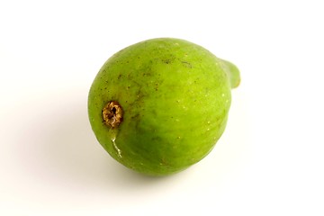 Image showing Green Fig