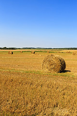 Image showing Stack of straw  