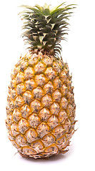 Image showing pineapple