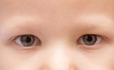 Image showing baby eyes