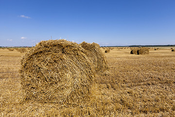 Image showing stack of straw in the field  