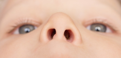 Image showing baby nose