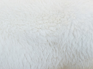 Image showing ship wool texture