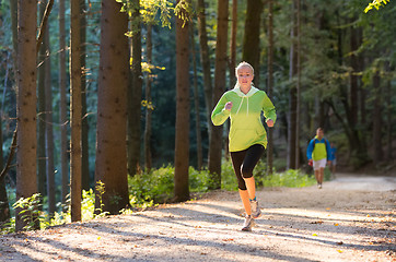 Image showing Pretty young girl runner in the forest. 