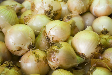 Image showing Onion pattern
