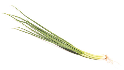 Image showing fresh green onion