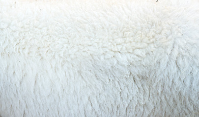 Image showing ship wool texture