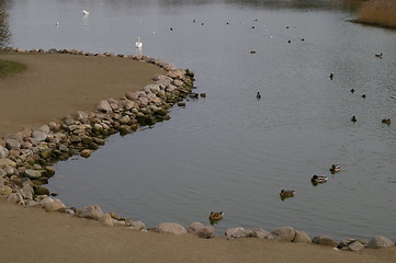 Image showing Pond