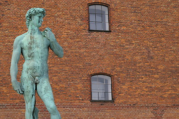 Image showing David in Copenhagen