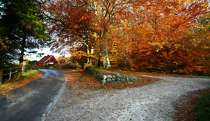 Image showing Ravnsholt Skov forest in  Alleroed Denmark