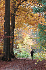 Image showing Man walking