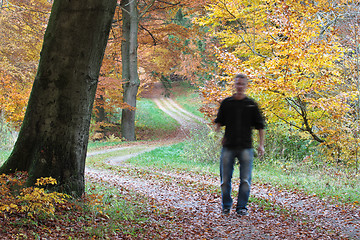 Image showing Man walking