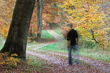 Image showing Man walking