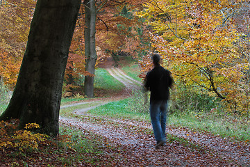 Image showing Man walking