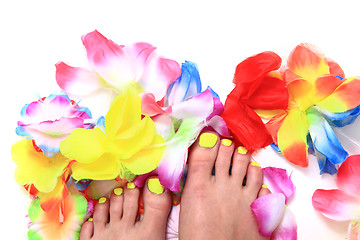 Image showing nice legs with pedicure