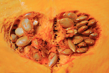 Image showing hokaido pumpkin vegetable