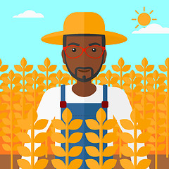 Image showing Man in wheat field.