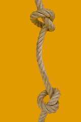 Image showing Two rope knots