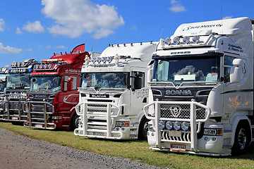 Image showing Lineup of Scania Show Trucks