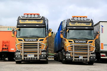 Image showing Two Colorful Scania R560 Trucks 