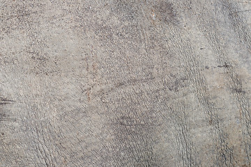 Image showing rhino skin texture