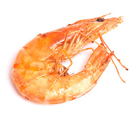 Image showing king grilled shrimp