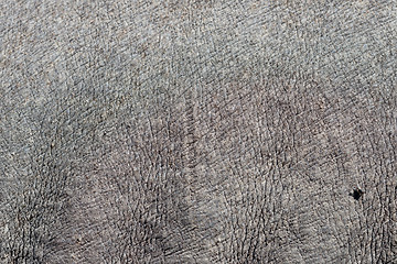 Image showing rhino skin background