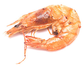 Image showing king grilled shrimp