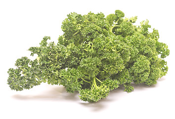 Image showing fresh green parsley