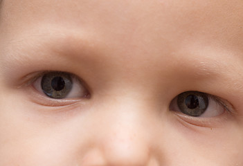 Image showing baby eyes