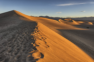 Image showing Golden sunrise on Mesquite Flat Sand Dunes