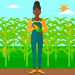 Image showing Farmer holding corn.