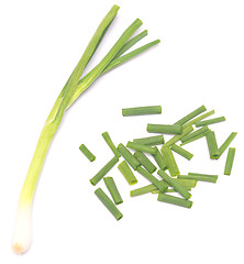 Image showing fresh green onion