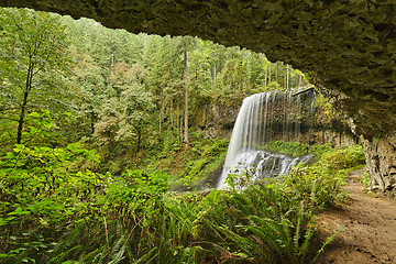 Image showing Middle North Falls, Silver Falls State Park