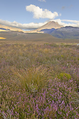 Image showing Mt Ngauruhoe