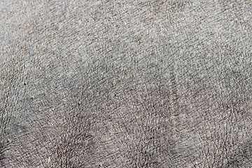 Image showing rhino skin texture