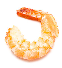 Image showing grilled shrimp on white