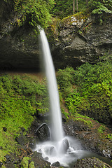 Image showing North Falls, Silver Falls State Park
