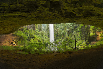 Image showing North Falls, Silver Falls State Park