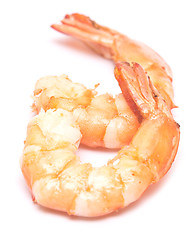 Image showing grilled shrimps on white