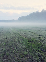 Image showing Misty field with freshly mown grass