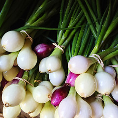 Image showing Fresh white and purple onions