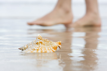 Image showing Shell and bare feet on beach