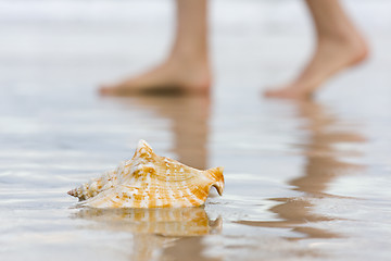 Image showing Shell and bare feet on beach