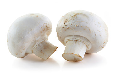 Image showing champignon mushrooms on white background