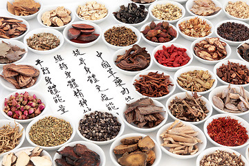 Image showing Chinese Herbal Medicine Selection